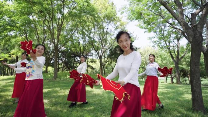 一群女性公园跳广场舞扭秧歌兴高采烈