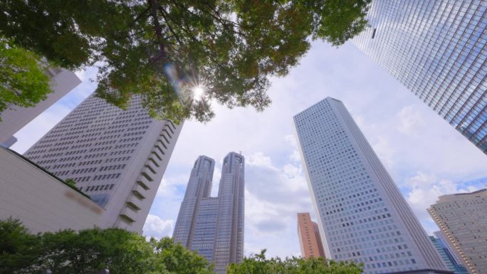 西新宿的高层建筑有着美丽清新的绿色植物