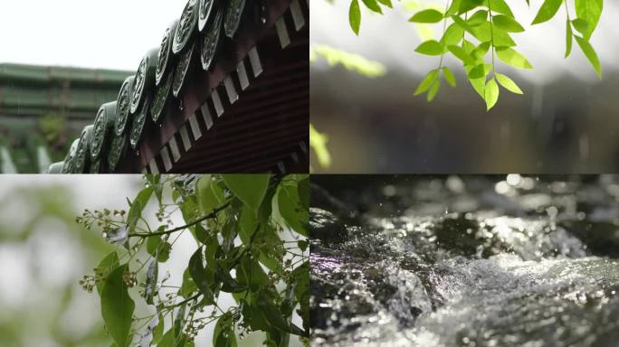 雨景古建筑节气空镜