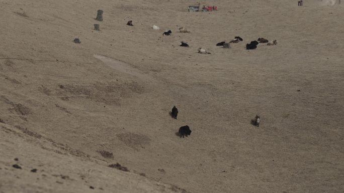 户外登山徒步