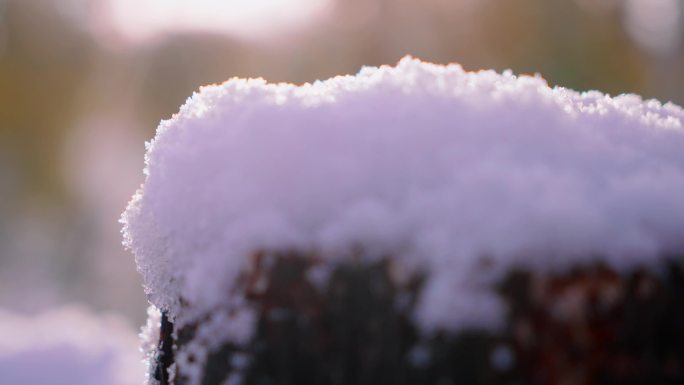 新疆-喀纳斯-雪后