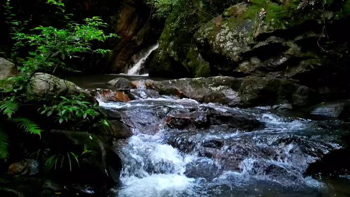 溪谷流水   山谷溪流