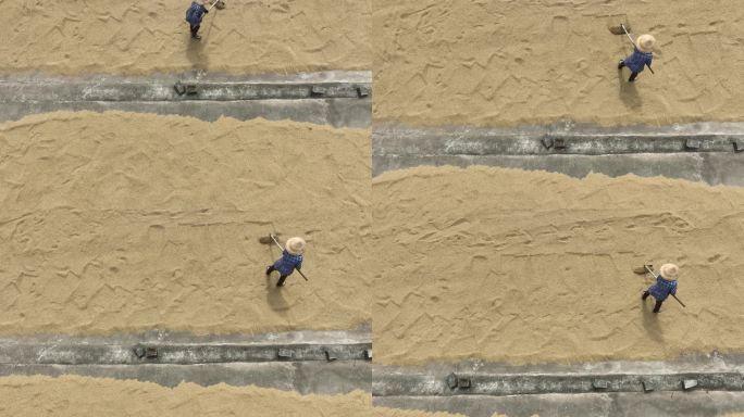湄公河三角洲水稻干燥场的航拍视频，加工和保存收获后的水稻，天江省