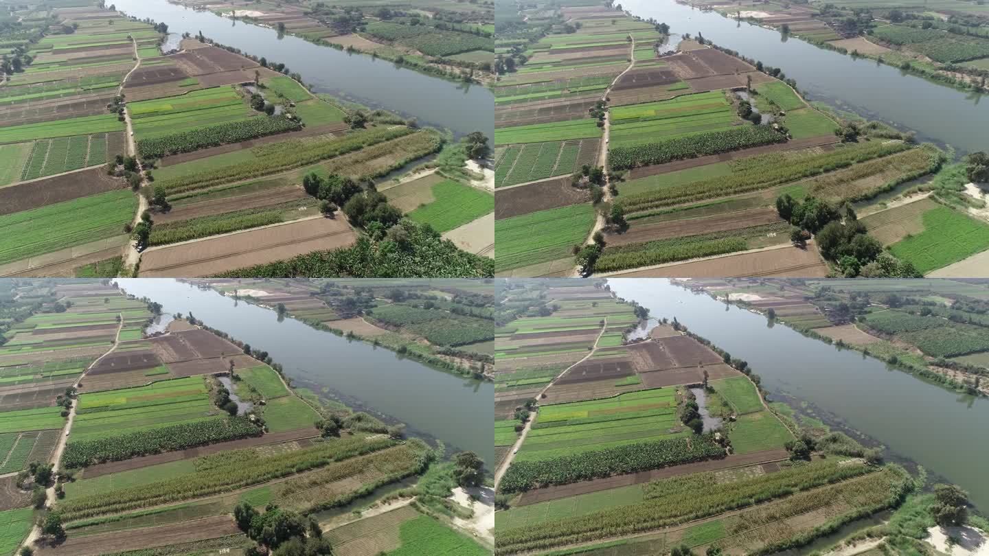 埃及的尼罗河在开罗被吉萨旁边尼罗河谷的绿色土地所包围