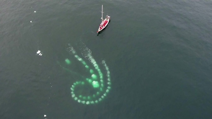 空中无人机拍摄的一艘两栖船在Jokulsarlon的冰山之间航行的视频