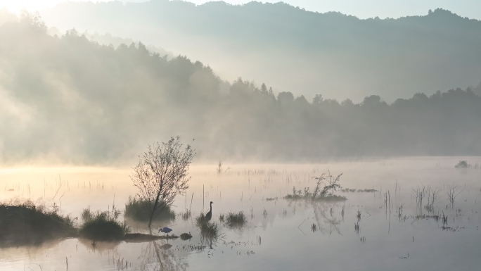 清晨森林湖泊雾气