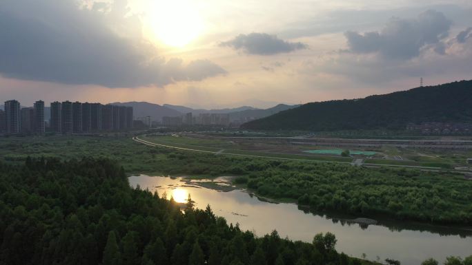 泥山湾人工湿地