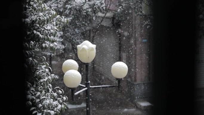 雪景