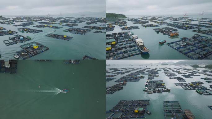 记录海上渔排养殖渔家生活小船航拍