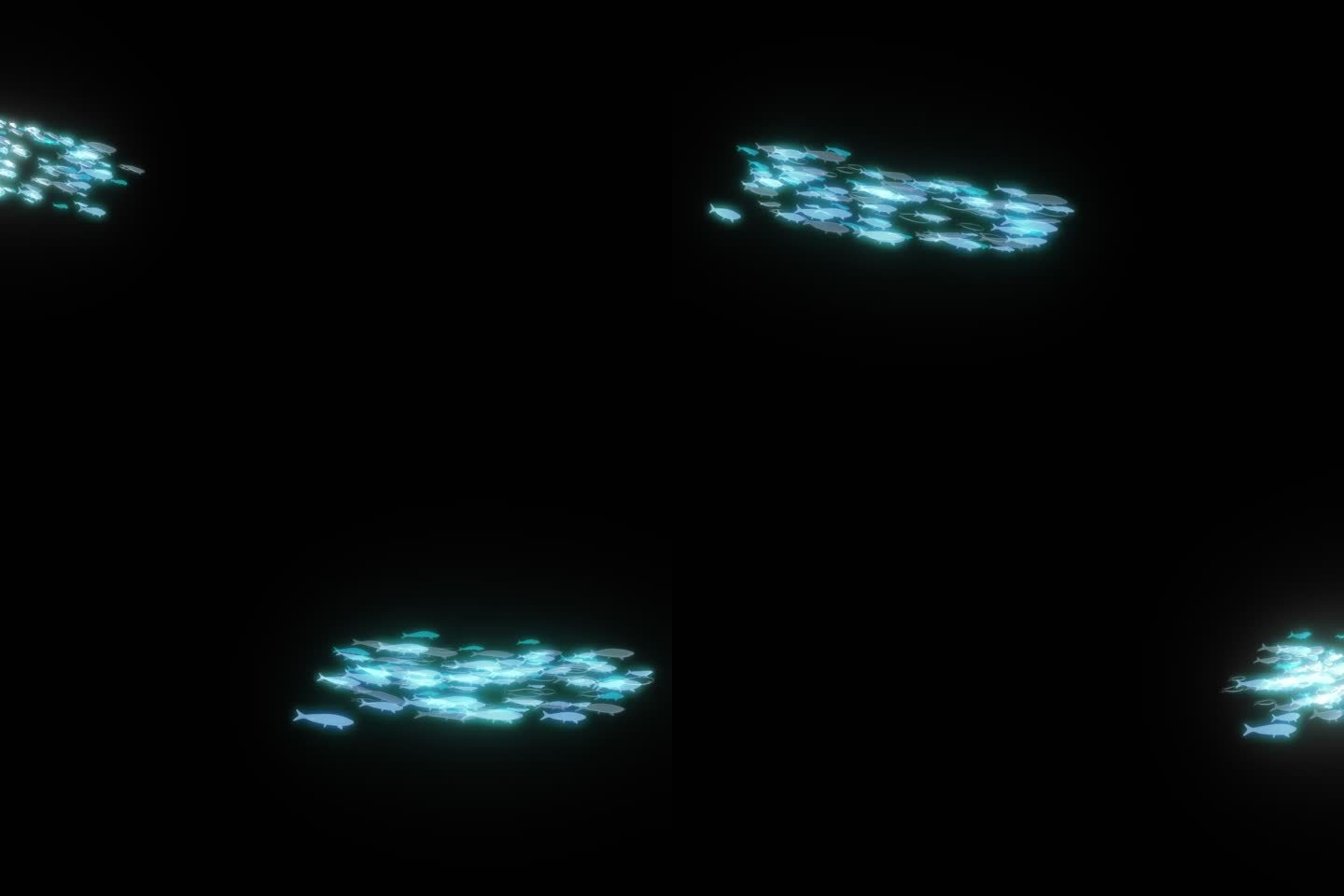 发光粒子鱼群游动-3