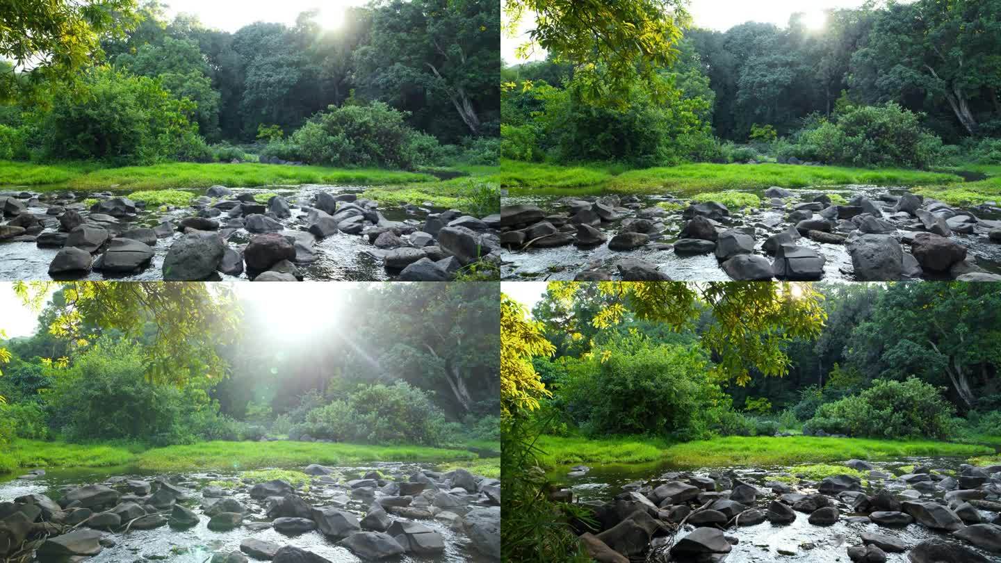 在阳光明媚的日子里，河流在坦桑尼亚的雨林中流过石头