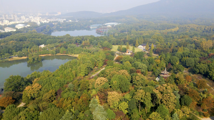 南京秋天中山陵明孝陵风景