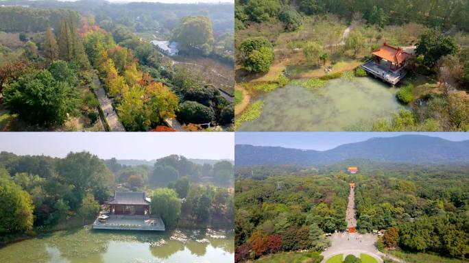 南京秋天中山陵明孝陵风景