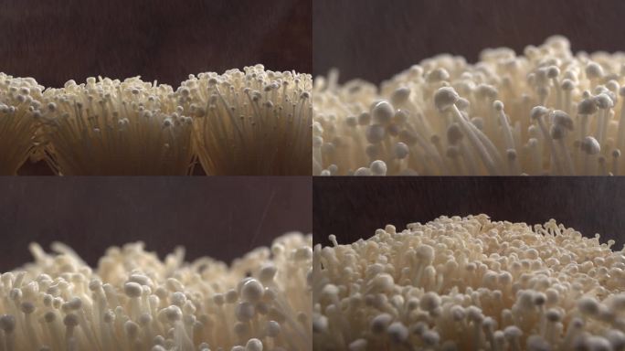 金针菇 金针蘑  蘑菇 金针菇创意实拍