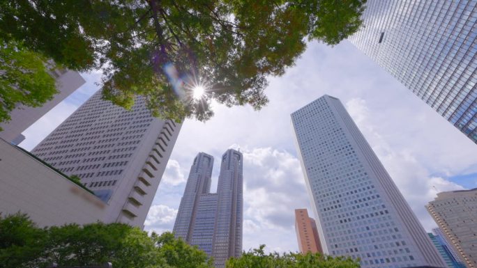 西新宿的高层建筑有着美丽清新的绿色植物