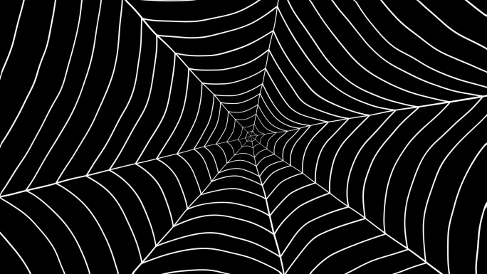 4k蜘蛛网（透明底）