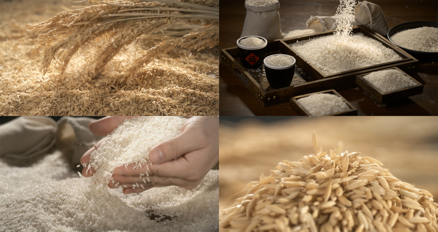 大米水稻农业丰收稻谷米饭粮食米粒庄稼种子