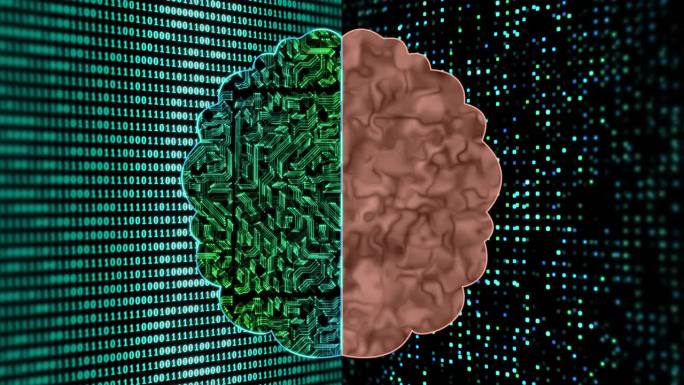 人工脑和人脑动画脑髓细胞蠕动绿色代码芯片