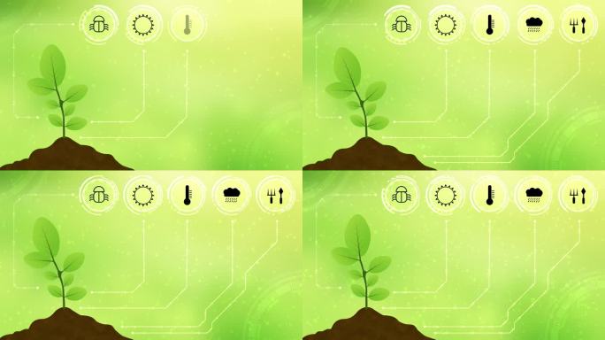 植物生长动画与数字植物健康相关图标