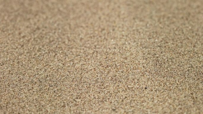 沙子的特写镜头。沙子的质地，被风吹走的沙粒飞扬。