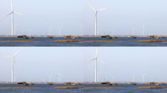 海边的风力发电