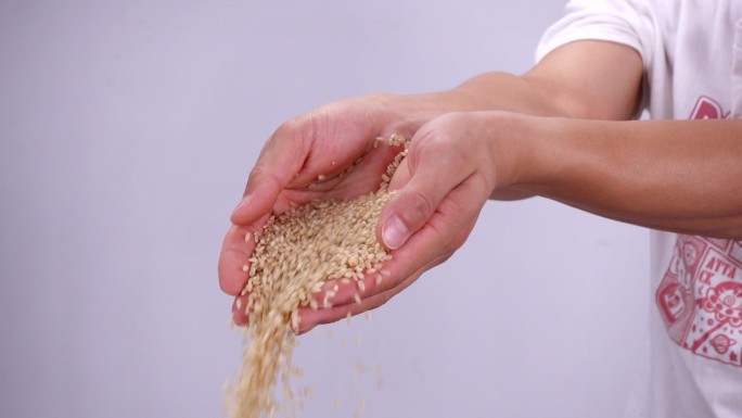 手捧 糙米 倒下 流下 洒下 粮食，五谷