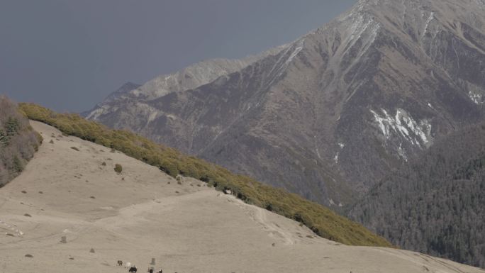 雪山户外四姑娘山徒步