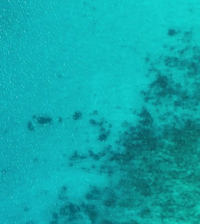 清澈水域中的珊瑚礁航拍图。菲律宾锡。