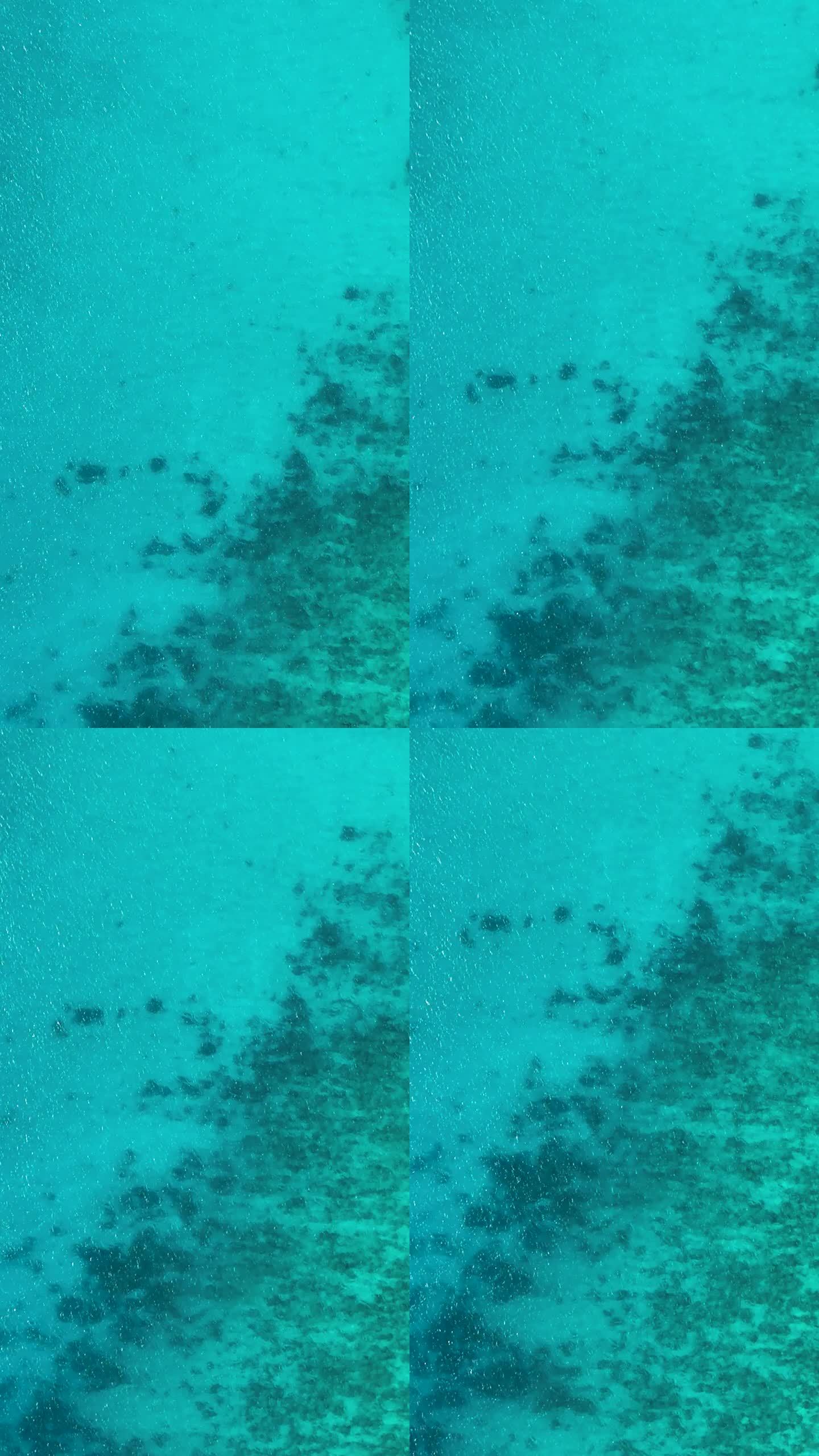 清澈水域中的珊瑚礁航拍图。菲律宾锡。