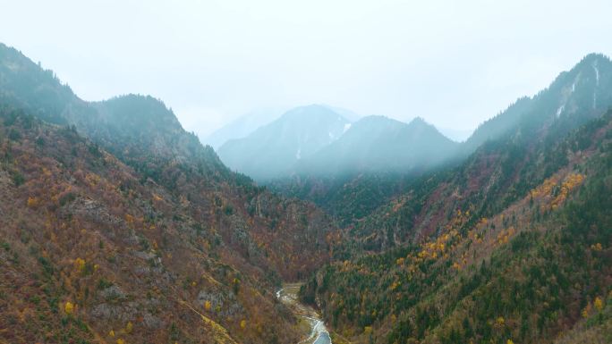 麦秀林场秋色5