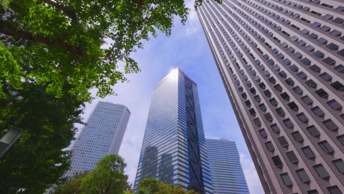 西新宿的高层建筑有着美丽清新的绿色植物