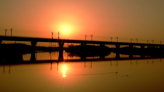 夕阳下高铁桥湖中一对水鸟