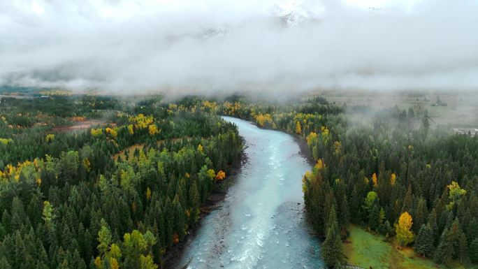 云雾间的森林河流