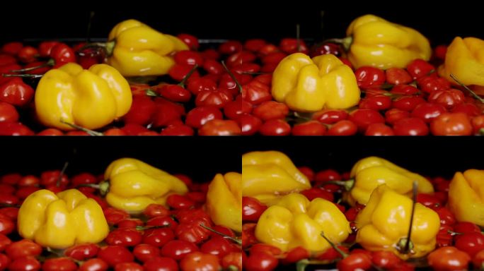 黄色的哈瓦那辣椒和《土耳其之星》中的红色迷你辣椒一起落入水中，慢镜头映衬着黑色的背景。
