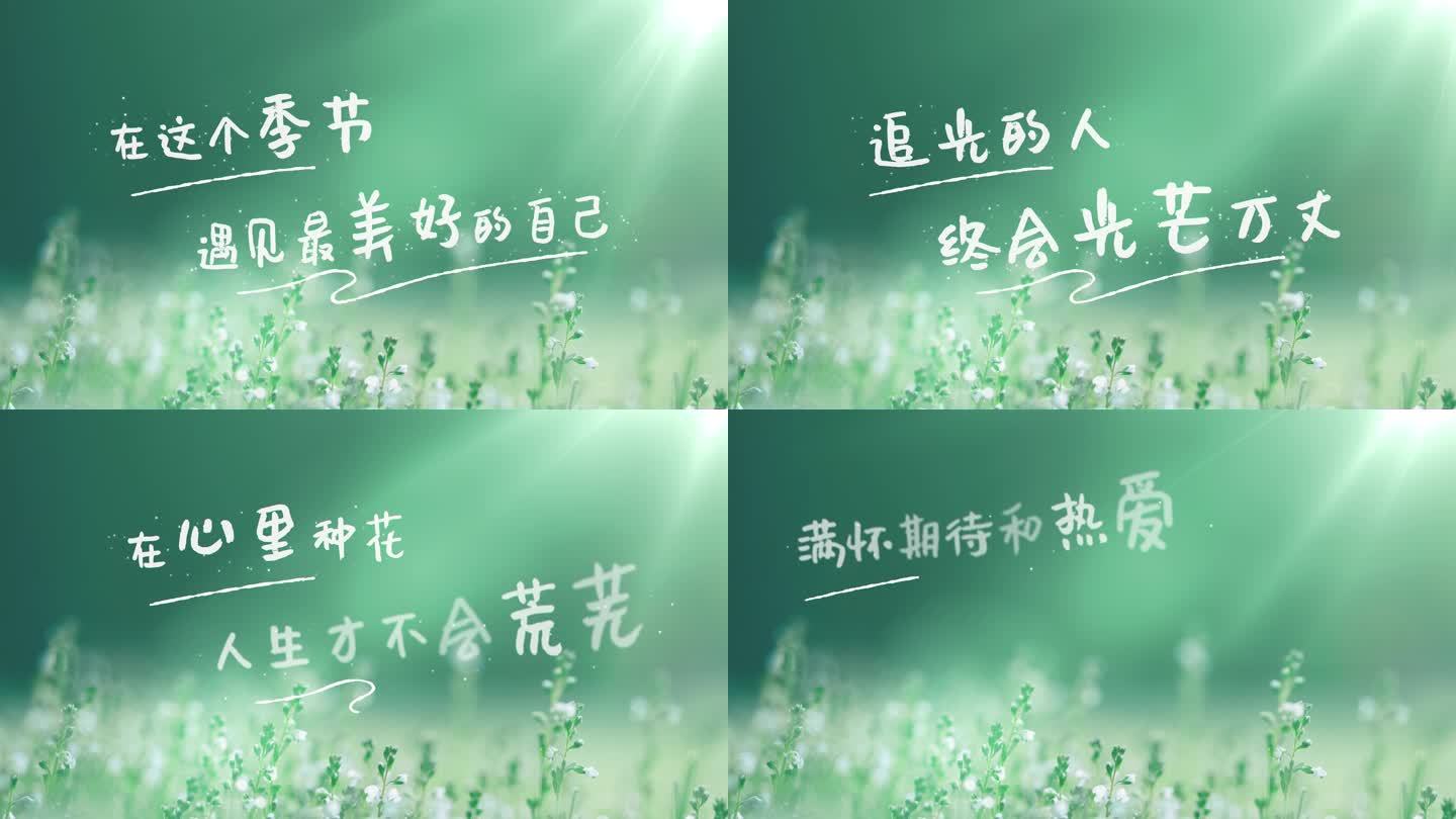 文字字幕标题