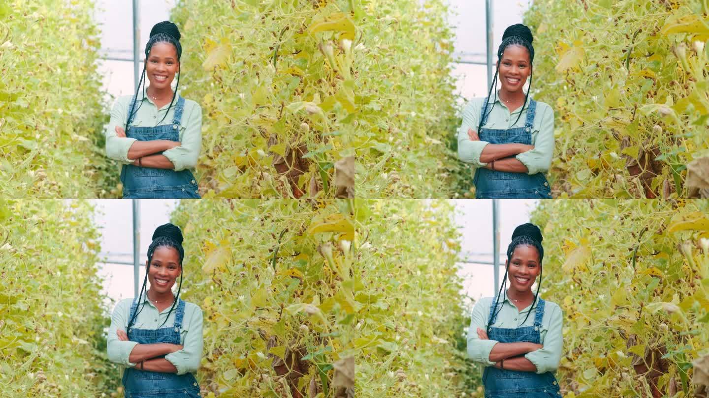 黑人妇女，务农和快乐的脸，植物或双臂交叉为小型企业的农业增长。农民在温室，植物和可持续发展的肖像，幸