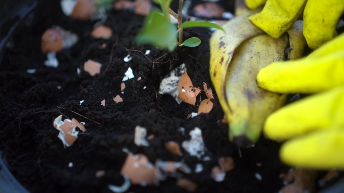 堆肥和堆肥的土壤从厨房，食物垃圾，水果，蔬菜皮和鸡蛋壳腐烂成有机肥料循环堆肥环保。减少零废物概念。