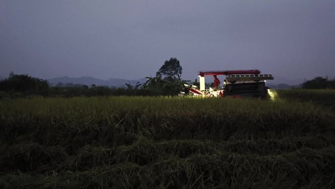小型稻田收割机夜晚工作灯光照耀稻田
