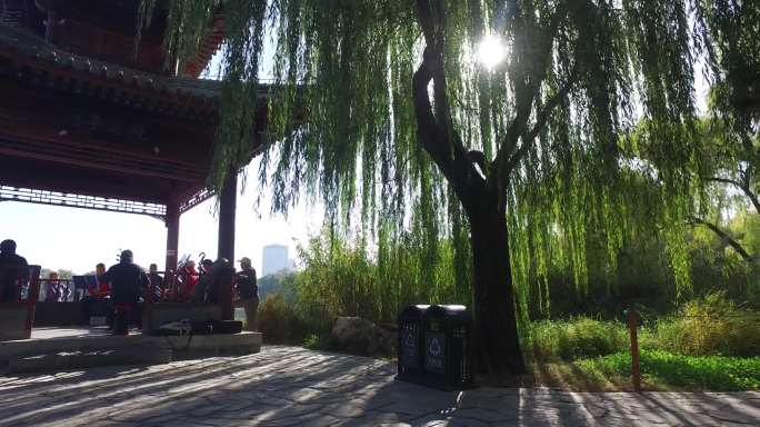紫竹院公园北京晨练退休生活游园跳舞广场舞