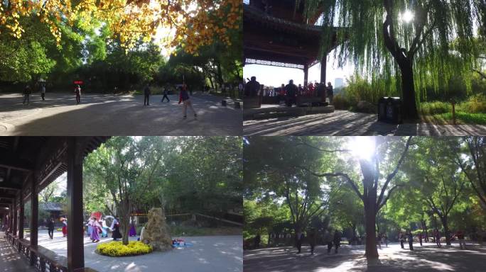 紫竹院公园北京晨练退休生活游园跳舞广场舞