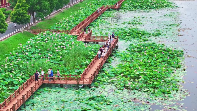 湖北洪湖市生态旅游区