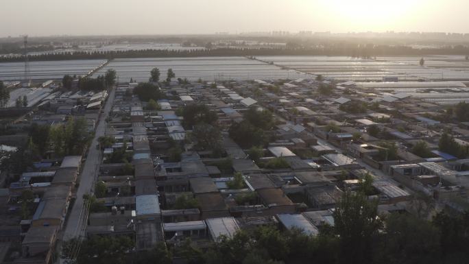 农村航拍夕阳 大棚种植 田地 住宅