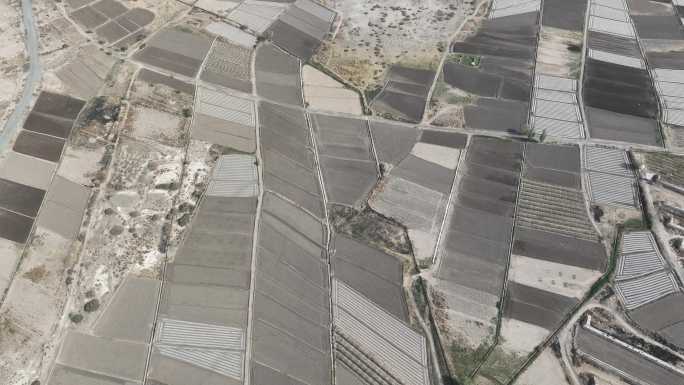 天山  新疆 吐鲁番 农田 葡萄 农业