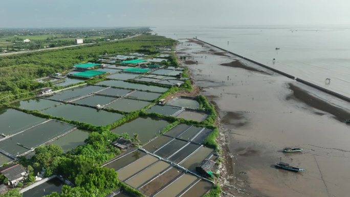 天江省Tan Thanh海滩上广泛的虾养殖池塘的航拍视频