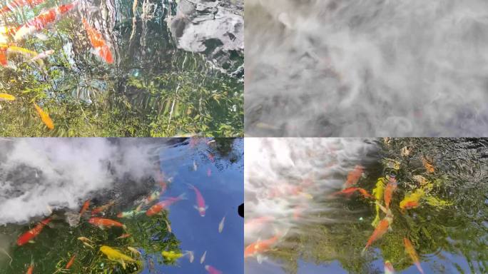 锦鲤戏水 中式园林景观 池塘烟雾 中国风