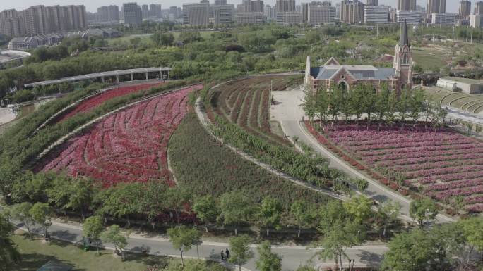 聊城高新区 航拍 月季公园 城市航拍