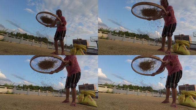 秋收地坪晒场扫谷晒谷筛谷颗粒归仓农活