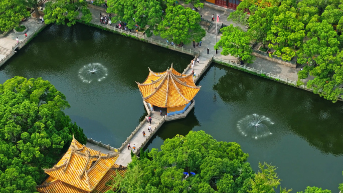 航拍普陀山法雨寺普济寺