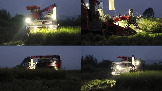 台风来前黑夜收割机械抢收稻谷灯光照稻田