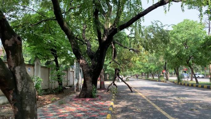 一棵树被狂风刮倒在路上。暴风雨过后，一根树枝倒了下来。暴风雨中一棵树倒了，